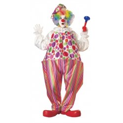 Snazzy Clown Costume